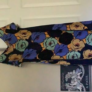 Anthropologie Vanessa VirginiaMina Floral Dress Size Small Bold Bursting